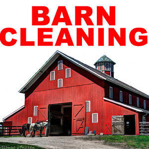 Barnin Cleaning Flyer in PDF format
