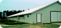 Poultry Barn Disinfecting & Cleaning