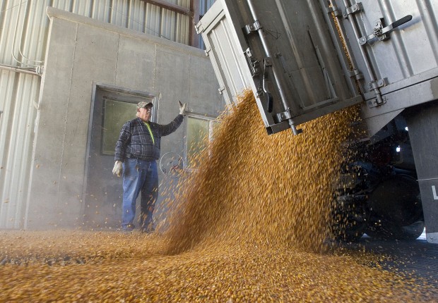 Clean 'n Scrub Services for Outbuildings, Interior and Exterior contract with washing and disinfecting options