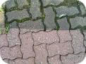 Brick or Concrete Pavers are renewed