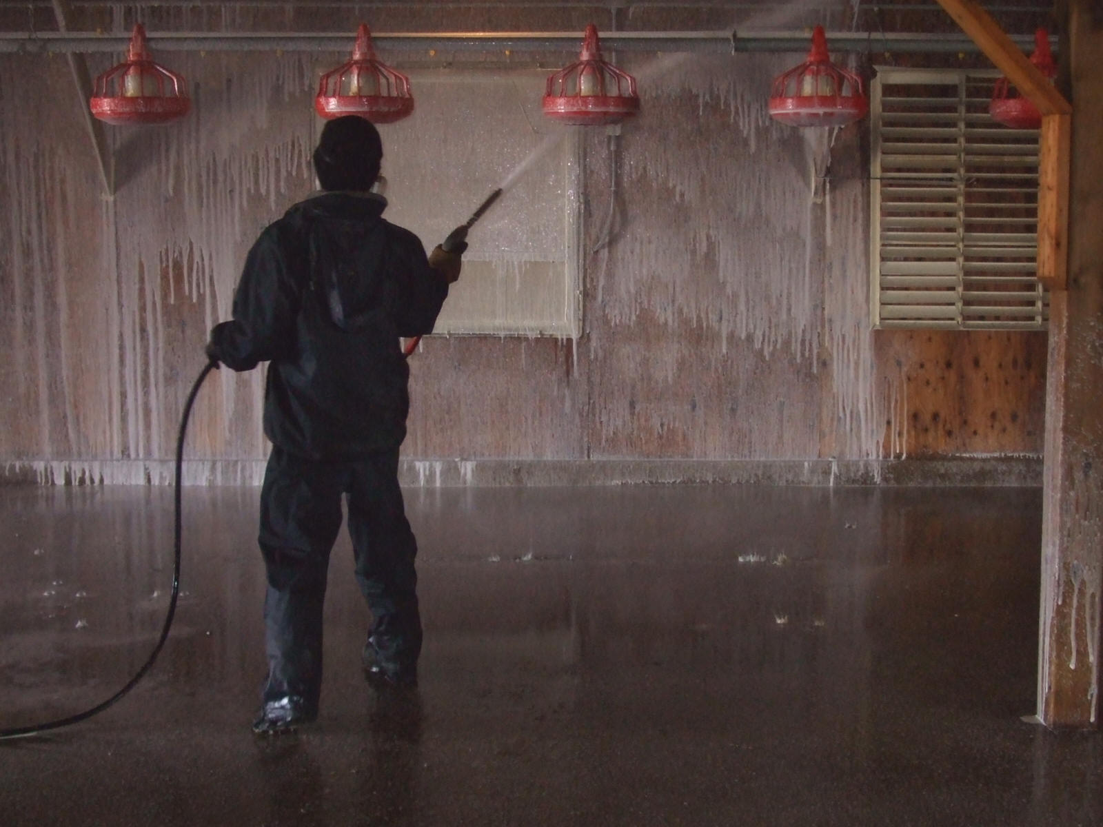 Poultry Barn Disinfect